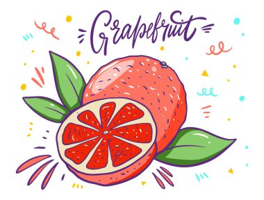 Tam ve Dilimlenmiş Greapefruit. Çizgi film tarzı. Vektör illüstrasyonu.