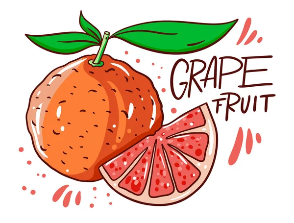 Heel en snij Greapefruit. Natuurlijke producten. Scandinavische typografie. Cartoon stijl. Vectorillustratie. — Stockvector