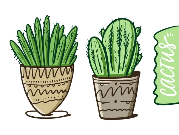 Två kaktus i krukor hemma. Tecknad stil. Vektorillustration. Isolerad på vit bakgrund. — Stock vektor