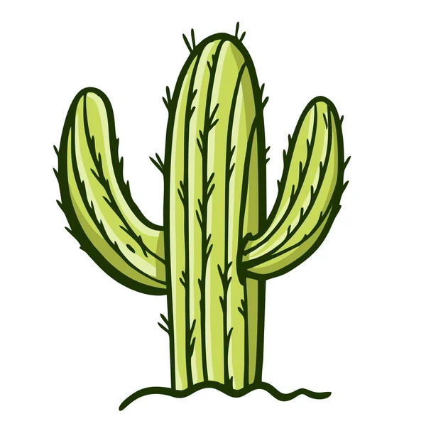 Green cactus in the soil. Hand drawn vector illustration. Flat cartoon style. — Stock Vector