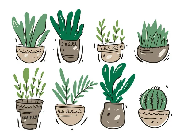 Plantas verdes em vasos caseiros. Ilustração vetorial em estilo cartoon. Isolado sobre fundo branco . —  Vetores de Stock