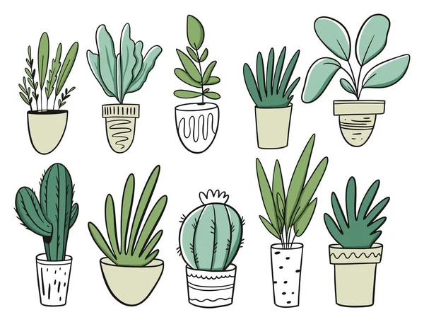 Big Set Green plants in home pots. Vector illustration in cartoon style. — 스톡 벡터