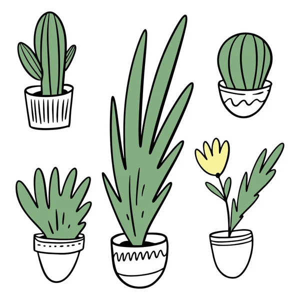 Plantas e flores em vasos brancos. Conjunto de ilustração vetorial em estilo cartoon . —  Vetores de Stock