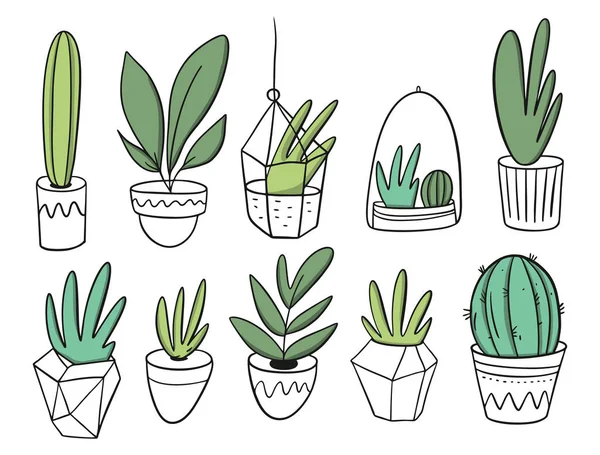 Big Set plantas em vasos brancos. Ilustração vetorial em estilo cartoon . —  Vetores de Stock