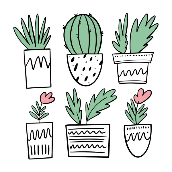 Cacto, flores e outras plantas em vasos brancos. Conjunto de ilustração vetorial em estilo cartoon . —  Vetores de Stock