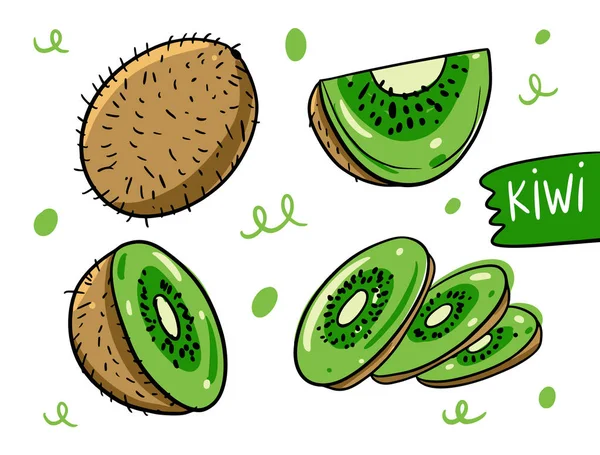 Kiwi-Frucht ganz, in Scheiben schneiden und schneiden. handgezeichnete Vektorillustration im Cartoon-Stil. isoliert auf weißem Hintergrund. — Stockvektor