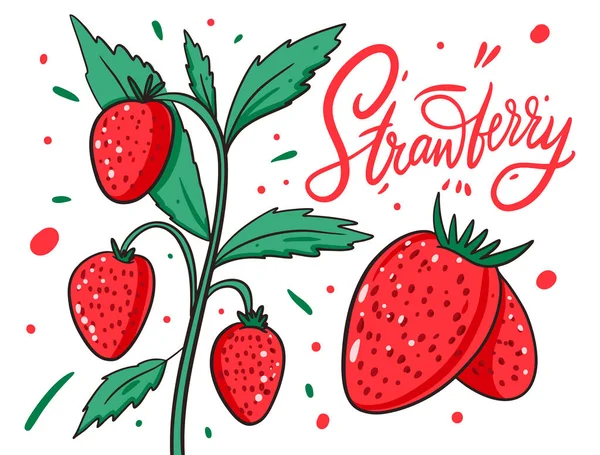 Erdbeere auf einem Zweig. Vektorillustration und Schriftzug im Cartoon-Stil. isoliert auf weißem Hintergrund. — Stockvektor