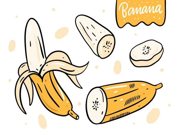 Banana desenho mão vetor ilustração e lettering. Isolado sobre fundo branco  . imagem vetorial de Octyarb© 302834678