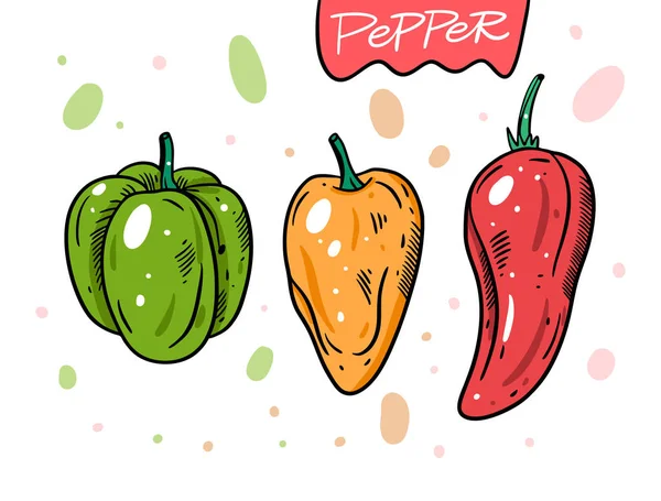 Разные перцы. Зеленый, желтый и красный перец. Ручная рисованная векторная иллюстрация в стиле мультфильма . — стоковый вектор