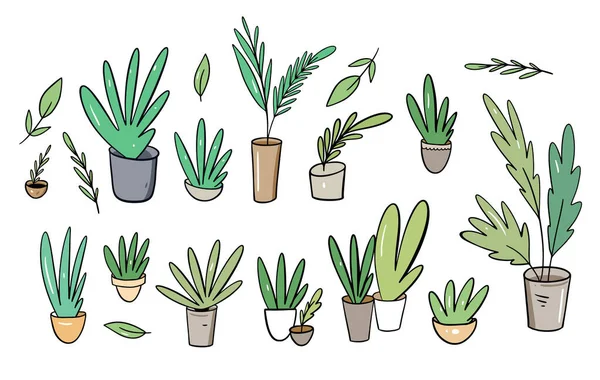 Coleção Big Set. Plantas verdes em vasos caseiros. Ilustração vetorial em estilo cartoon . —  Vetores de Stock
