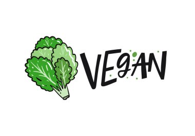 Marul vektör çizimi ve vegan harfleri. Beyaz arka planda izole edilmiş. Pankart, poster, kart ve baskı için tasarım.