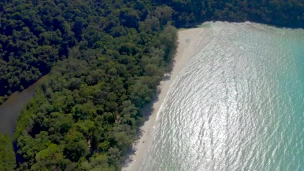 Dağın Etrafındaki Beyaz Sahil Ormanın Geniş Doğası Her Gün Gökyüzünde — Stok video