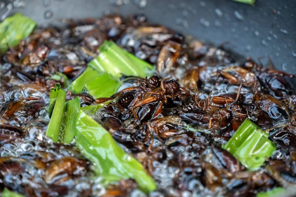 Zuidoost-Azië, Thailand gebakken krekels worden gekookt door olie in de — Stockfoto