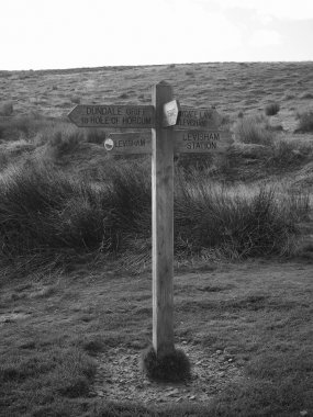 Siyah-beyaz yürüyüş yolları üzerinde tabelasını vurdu