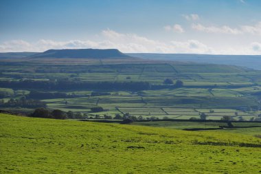 Askrigg, Yorkshire Dales yakınlarındaki Wensleydale ve Addlebrough Tepesi 'ne bakın.