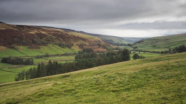 Wharfedale dal med kullar, gröna fält, torra stenmurar och mulen himmel, Yorkshire Dales — Stockfoto