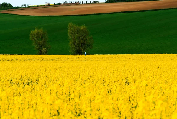 Venkovské Hessian Jarní krajina u Hanau — Stock fotografie