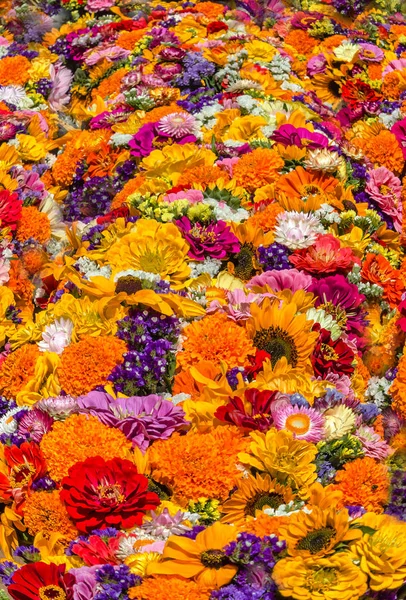 Tapijt van veelkleurige zomerbloemen — Stockfoto