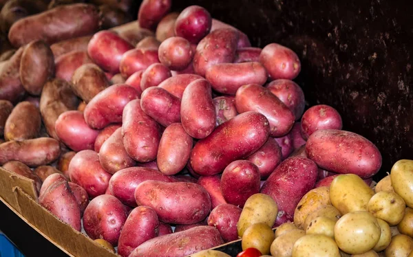 Variedades de patatas- Patatas dulces y nuevas —  Fotos de Stock