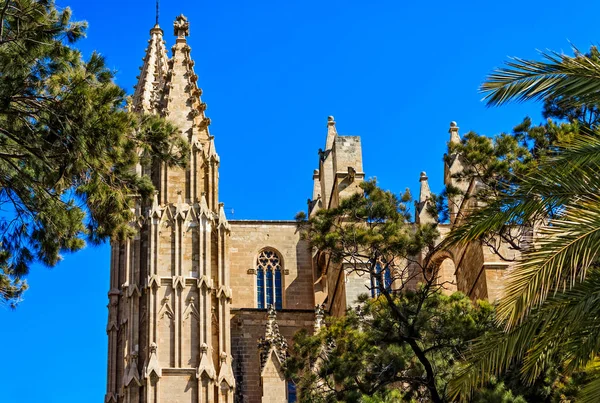 Katedralen Santa Maria av Palma de Mallorca (La Seu) Spanien — Stockfoto