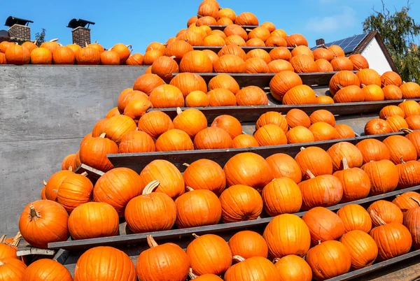 High pumpkin pyramid — Stock Photo, Image