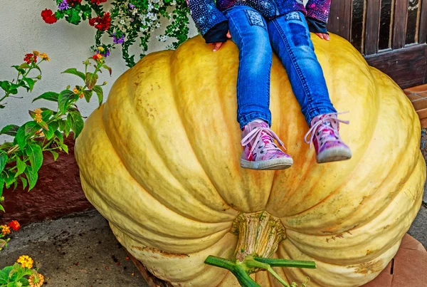 A girl sitting on the giant yellow pumpkin — Stock Photo, Image