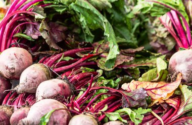 Yaprakları ile taze beetroots görüntüsünü sebze 