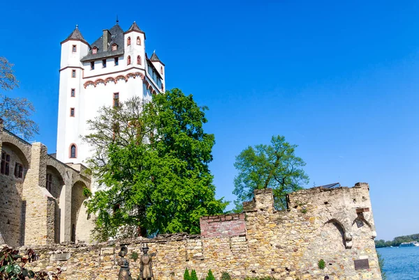 莱茵瑙Eltville的选举城堡 是德国黑森州莱茵瑙 陶努斯莱茵河畔的一座闪闪发亮的葡萄酒 葡萄酒和玫瑰繁茂的地区 — 图库照片