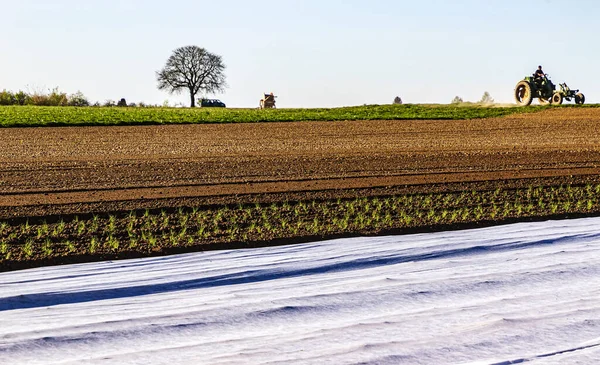 Paisaje Agrícola Hesse Agricultura Ecológica Gran Escala Alemania Primavera — Foto de Stock