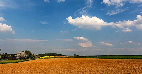 Сельский Пейзаж Панорамный Вид Весенние Поля Конце Дня Облачно Голубой — стоковое фото
