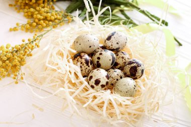 Paskalya Paskalya yumurta yuvada bileşimi 