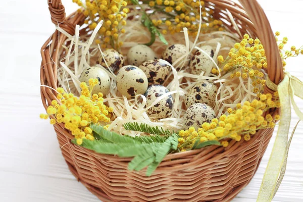 Huevos Pascua Canasta Con Ramitas Mimosa Sobre Fondo Blanco — Foto de Stock