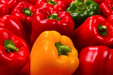 Taze kırmızı, yeşil, sarı dolmalık biber arka planı.