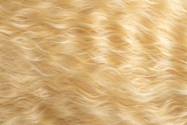 Sarı dalgalı saç deseni. Üst görünüm.