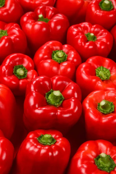 Verse rode paprika achtergrond. — Stockfoto