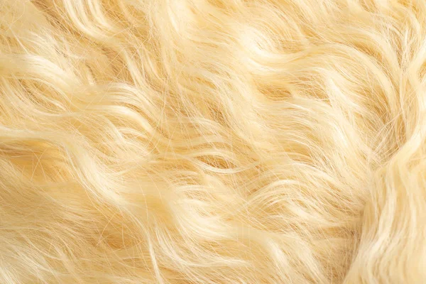 Blond faliste włosy wzór. Widok z góry. — Zdjęcie stockowe