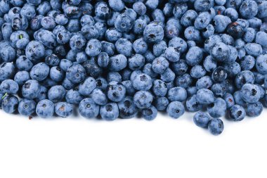 Taze yaban mersini arkaplanı. Doku yaban mersini yakından geliyor..