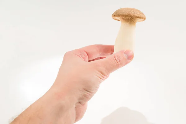Eringi mushrooms isolated on white  background. — Stock Photo, Image