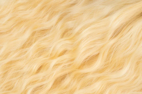 Blond wavy hair pattern. Top view. — Stock Photo, Image