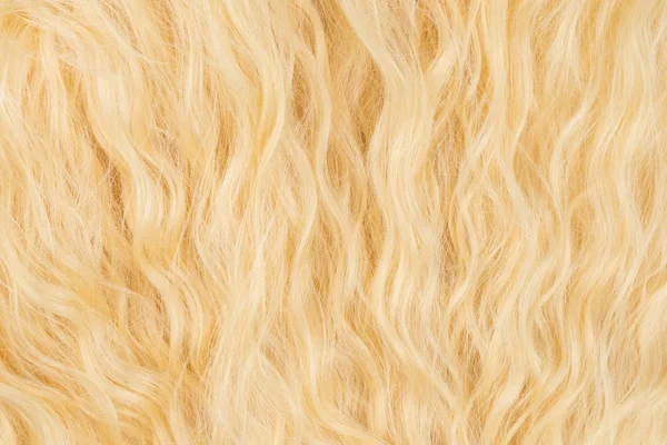 Sarı dalgalı saç deseni. Üst görünüm.