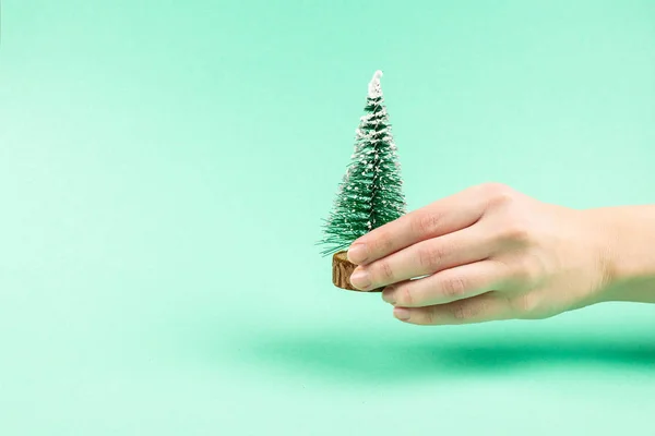 Pequeño árbol de Navidad en la mano de la mujer sobre un fondo verde . — Foto de Stock