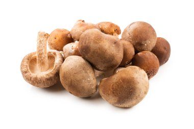 Beyaz arka planda izole edilmiş Shitake lezzetli mantar.