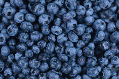 Taze yaban mersini arkaplanı. Doku yaban mersini yakından geliyor..