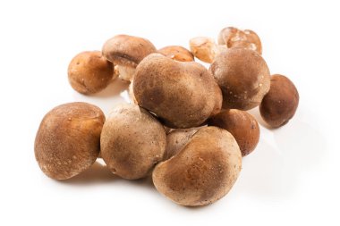 Beyaz arka planda izole edilmiş Shitake lezzetli mantar.