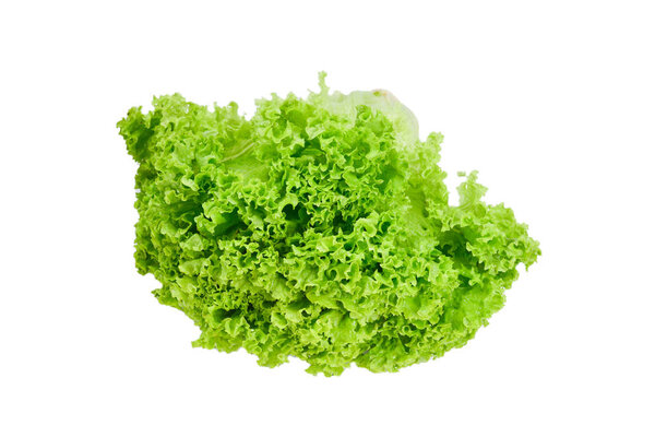 Iceberg lettuce isolated on white background. 