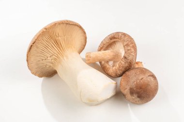 Shitake, eringi lezzetli mantar beyaz arka planda izole. 