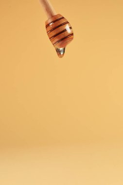 Turuncu arka planda ballı balık. Boşluğu kopyala. 