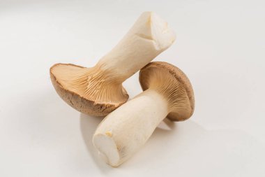 Shitake, eringi lezzetli mantar beyaz arka planda izole. 