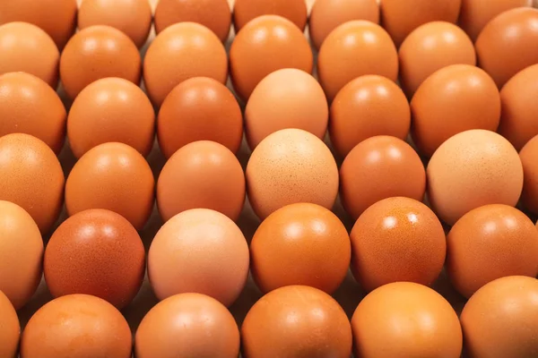 Grupo de huevos marrones crudos . —  Fotos de Stock