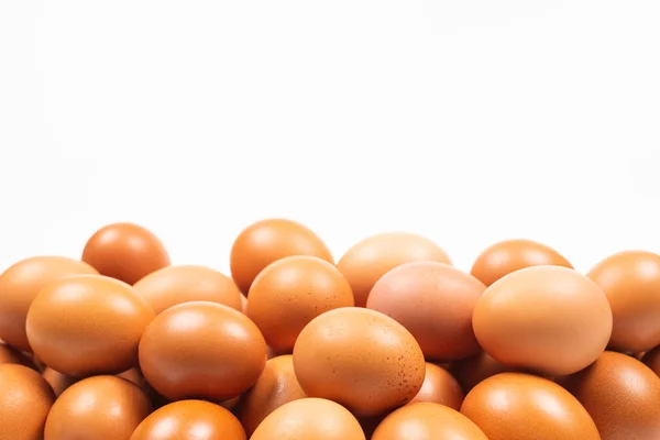 Группа коричневых яиц изолирована на белом . — стоковое фото